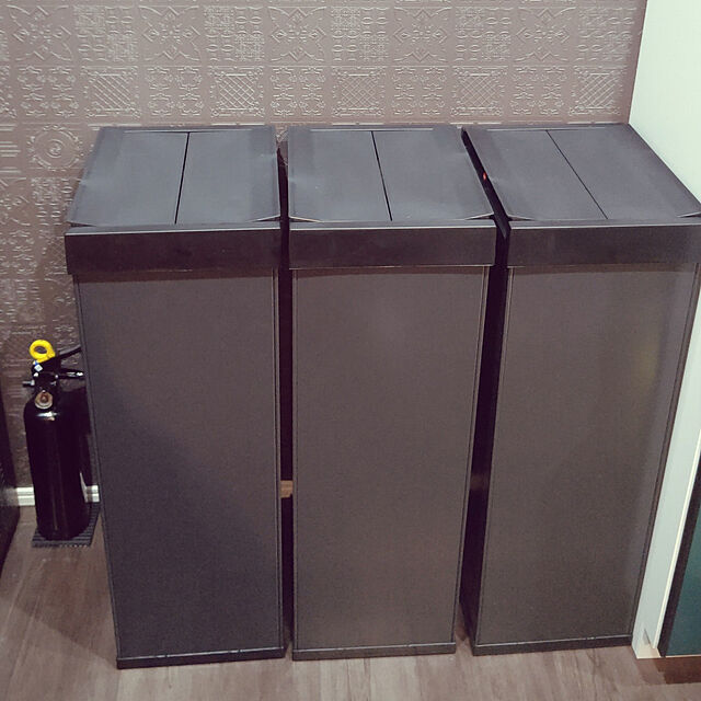 ハイロ(Hailo) ニュービッグボックス 60L ブラック ゴミ箱、ダストボックス