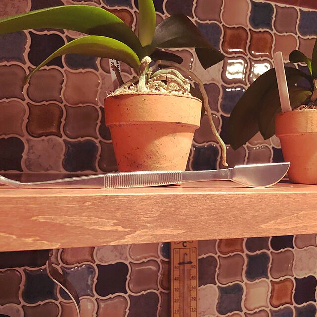 Komiyaの-植木鉢 陶器 おしゃれ サイズ 8cm 安くて植物に良い鉢 素焼鉢BSK 2．5号の家具・インテリア写真
