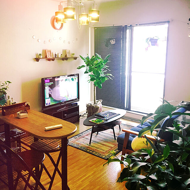 aimiのニトリ-ブラインド(リンクス3 IV 88X183) の家具・インテリア写真