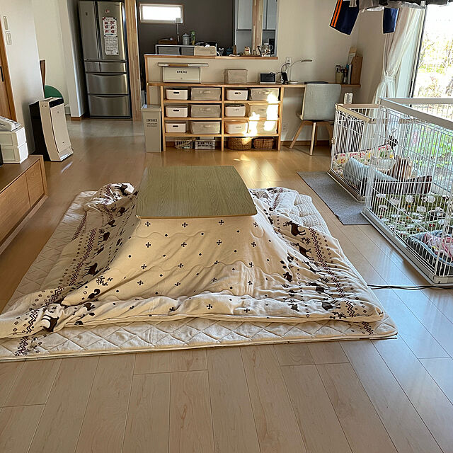 konnakanjiのニトリ-こたつふとん2点セット 長方形(ディアi-n) の家具・インテリア写真