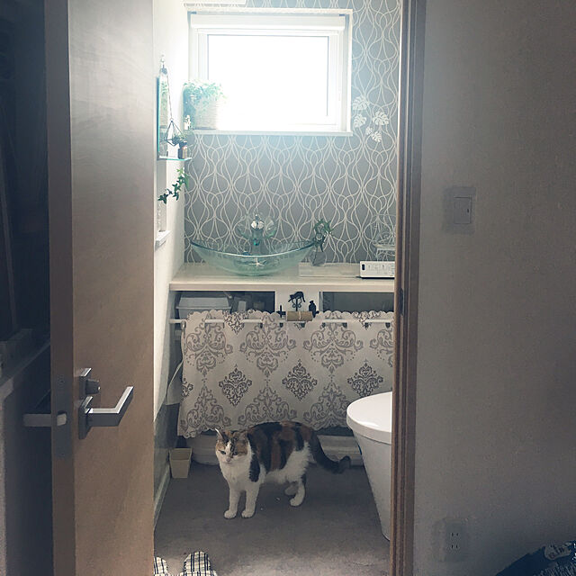 megu.catの-【 トイレットペーパーホルダー　ネコ】 ペーパーホルダー・キャット・アイアン猫・壁掛け・かわいい・ねこ・プレゼントの家具・インテリア写真