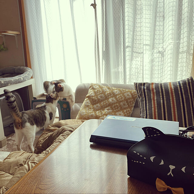 Lufuの-こたつ布団 ペット用 アウトドア用 ペットの毛や汚れに強いこたつ布団 230x190cm 長方形の家具・インテリア写真