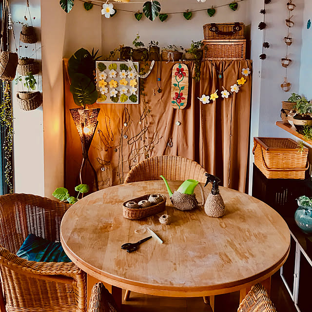 ryomamaの-（観葉植物）フィカス　ウンベラータ　４号（１鉢）の家具・インテリア写真