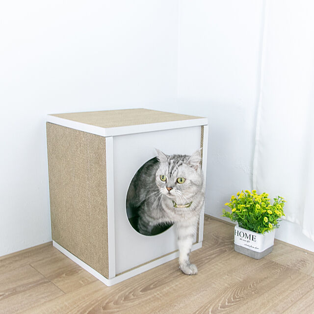 i_wishの-HappyDays キャットハウス トール ホワイト ペット ケージ ダンボール 段ボール 猫 猫用の家具・インテリア写真
