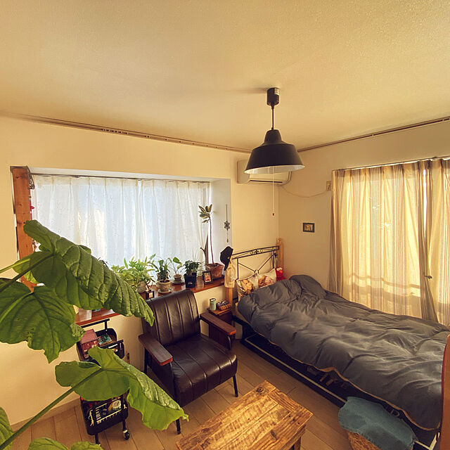 NORAのニトリ-毛布にもなる掛ふとんカバー ダブル(リブボアi BL D) の家具・インテリア写真