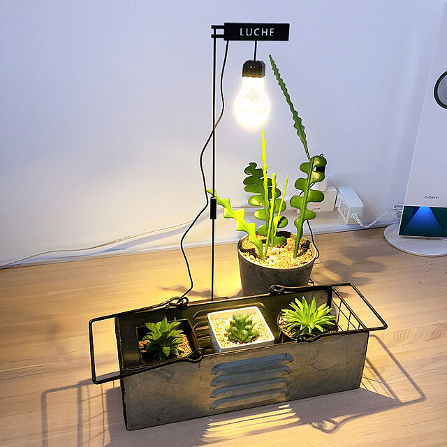 coco518の-LUCHE(ルーチェ) LEDスタンドライト ザ・ライト 植物栽培 インテリア ライト【あす楽対応】の家具・インテリア写真