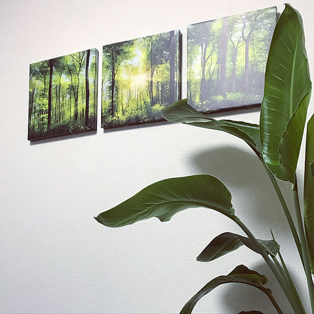 MaNのZOZODJDL-DecoArts　アートパネル　インテリア アート　緑の森　３パネルセット　 壁掛け　風景写真の壁の写真を　キャンバス絵画 (30*30cm*3 pcs)の家具・インテリア写真