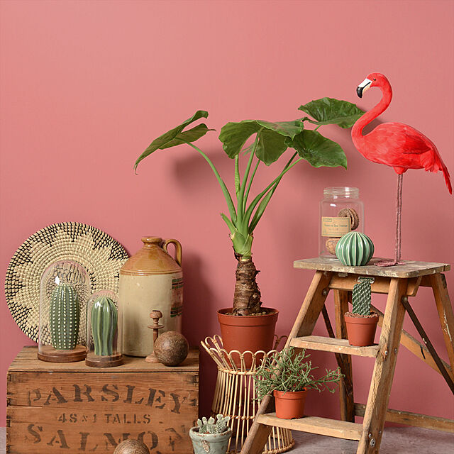 kabegamiyahonpoの-【メール便OK】 ミレニアルピンクのペンキ 《 水性塗料 》つや消し [ イマジンミレニアルピンクカラーズ ( パウチ カラーサンプル ) Imagine Millennial Pink Colors ]の家具・インテリア写真
