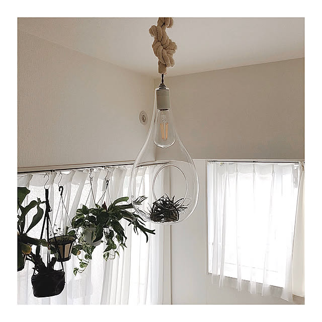 warashibeの-【レビューでプレゼント】スワン電器 Another garden BOTANIC HANGING LIGHT APE-021 ボタニックハンギングライト M おしゃれ LED ハロウィン 照明 植物 店舗用 カフェ用 インテリア あす楽 六本木クラスの家具・インテリア写真