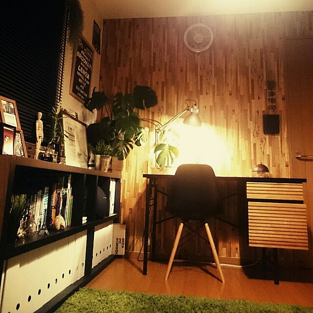 Shukaの-観葉植物 本物 モンステラ 6号 選べる鉢カバー付き (ブラウン)の家具・インテリア写真