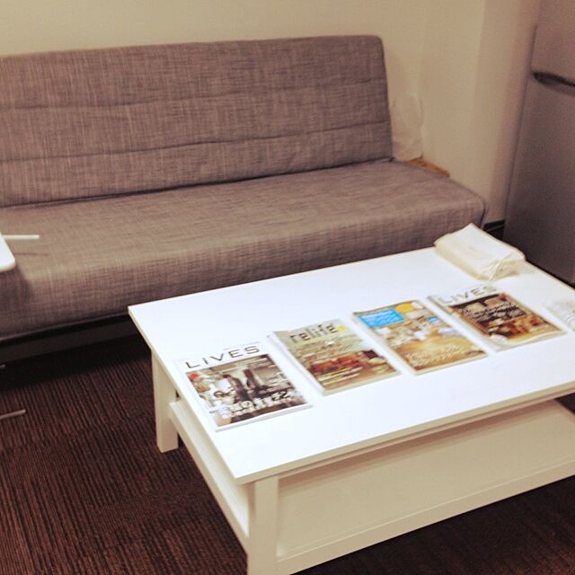 hisashiのIKEA (イケア)-IKEA(イケア) SOLSTA 50160722 2人掛けソファベッド, ランスタ ダークグレーの家具・インテリア写真