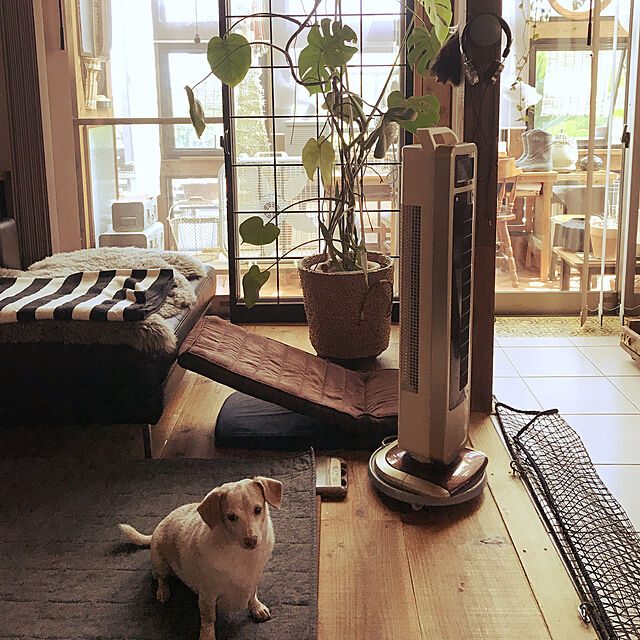 Risaの明和グラビア-明和グラビア ペット用スロープ PS-02 ダークブラウンの家具・インテリア写真