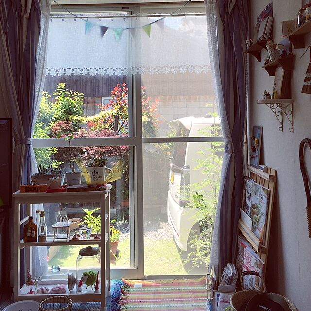 takakoの-「現品」チシオモミジ　(千染紅葉)　8号苗木　118の家具・インテリア写真