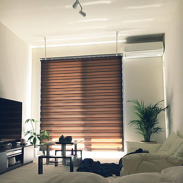 mia305のニトリ-調光ロールスクリーン(コンビゼンBE180X220) の家具・インテリア写真
