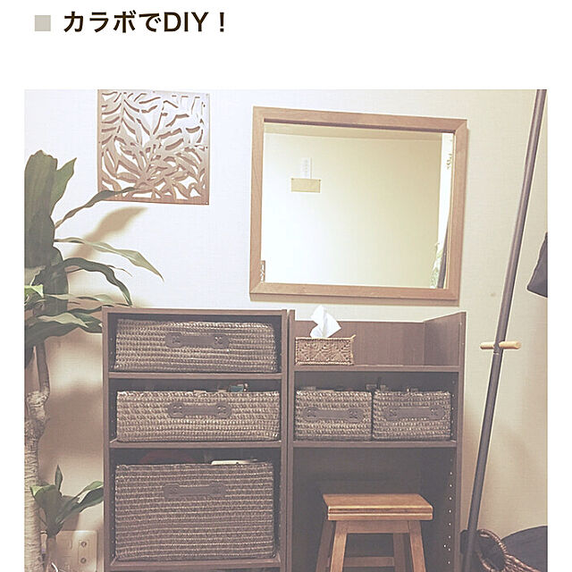 kuchinのニトリ-グリーン(QL ドラセナ) の家具・インテリア写真