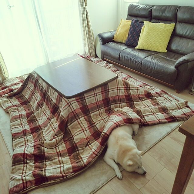yukinkoのイケア-GULLKLOCKA グルクロッカ クッションカバーの家具・インテリア写真