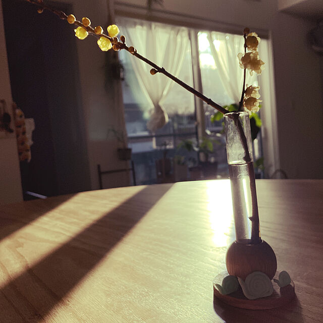 asの-花瓶(花器/フラワーベース) ガラス　Baum/バオム M 花が綺麗に映えるおしゃれなインテリア 一輪挿し clay/クレイ ガラス 天然木の家具・インテリア写真