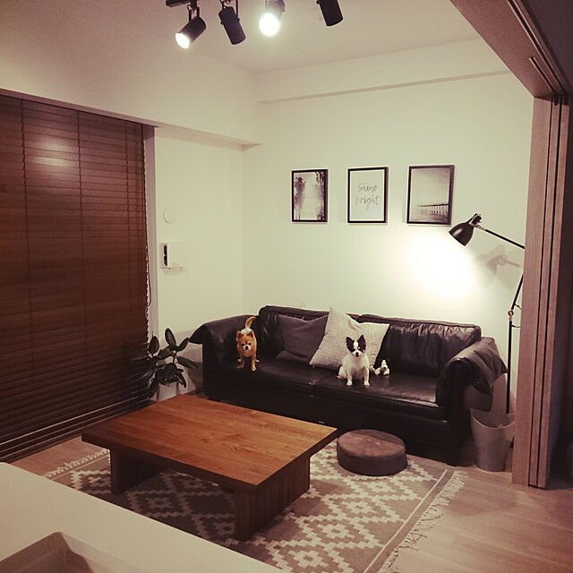 shijitanの無印良品-システムライト本体／ブラック ブラックの家具・インテリア写真
