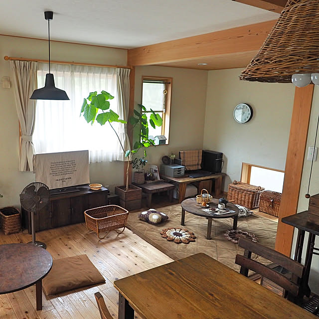 写真付きレビュー ウンベラータ 8号鉢 観葉植物 フィカス ウンベラータ 直幹樹形 大型 インテリア アジアン おしゃれ 引越し祝い 開店祝い 移転祝い 新築祝い お祝い 観葉植物 フィカス属 ゴムノキ ゴムの木 ウンベラーダ 室内 オフィス ギフト プレゼントの通販商品