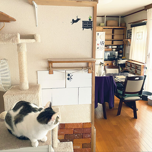 Lufuのアイリスオーヤマ(IRIS OHYAMA)-アイリスプラザ キャットタワー ハンモック 爪とぎ コンパクト おもちゃ付き 据え置き型 仔猫にも ベージュ キャットランド 高さ155cmの家具・インテリア写真