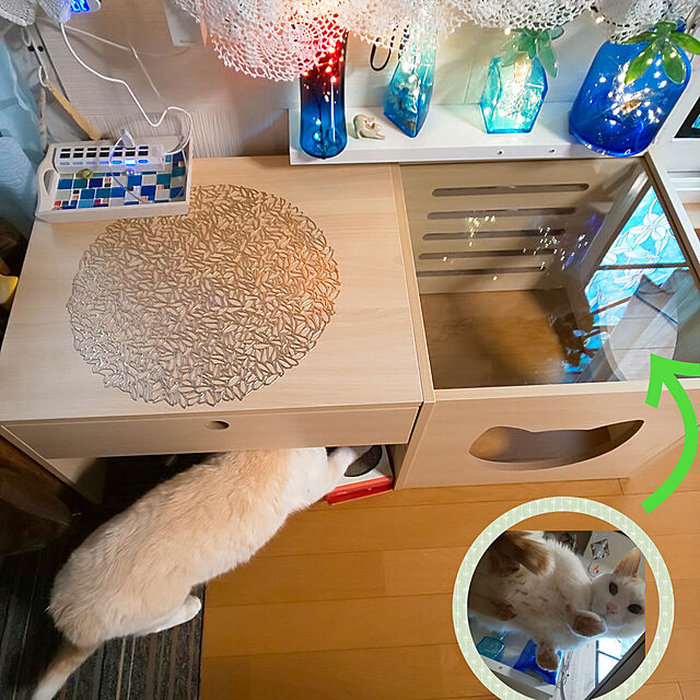 posauruのコンポジット-1年保証 テーブル ローテーブル 猫 キャットハウス ペットハウス カフェテーブル 木製 引き出し 100cm ペットベッド ガラス 肉球 猫ベッド 送料無料の家具・インテリア写真