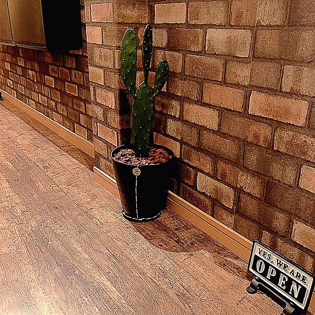 kaerucoのハット・トリック-ハットトリック/RECYCLE RUBBER PLANTER （A）/2M-236 L【01】【取寄】 ガーデニング用品 ポット・鉢 鉢カバーの家具・インテリア写真