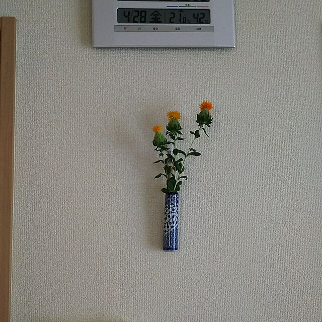 mmpoohの-【生花】紅花（オレンジ）【OT】[10本]の家具・インテリア写真