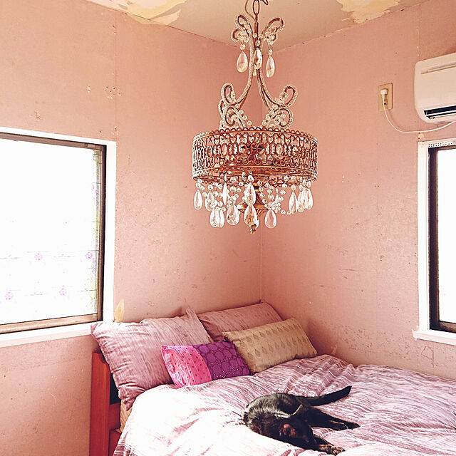 Aniseのニトリ-掛け布団カバー シングル(NグリップベルベRO S) の家具・インテリア写真