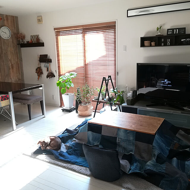 rikakoの東谷-座椅子 東谷の家具・インテリア写真