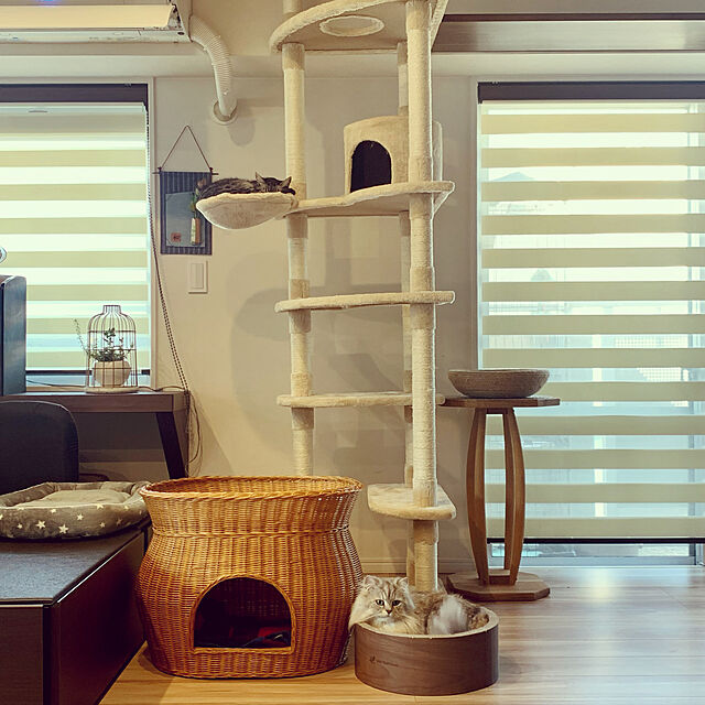 akimamのドギーマン-猫用　爪とぎ　キャティーマン　モダンルーム　ナチュラルにゃベッドの家具・インテリア写真