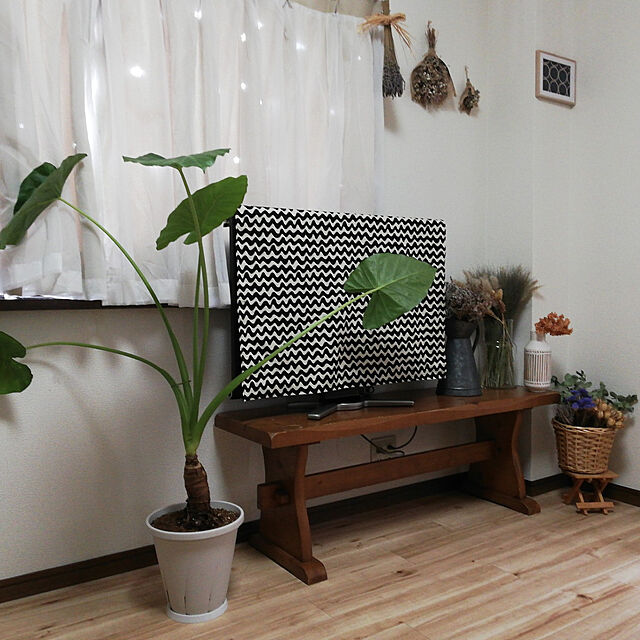 santamamaの大和プラスチック-スリット鉢 植木鉢 大和プラスチック 根はり鉢 8号 ホワイト 白 Φ24cm×高さ22cmの家具・インテリア写真