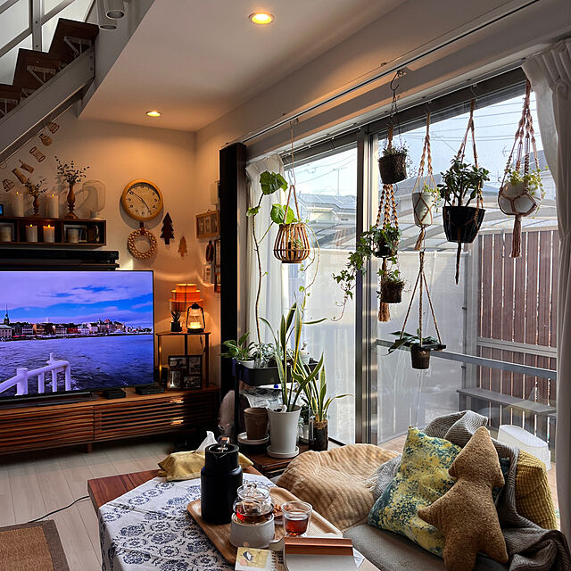 kojimasaの-多肉植物 seセダム ばらまき虹の玉 多肉植物 セダム 9cmポットの家具・インテリア写真