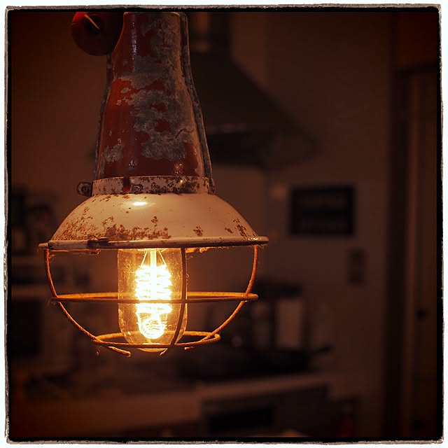 Vintageのディテール-エジソン バルブ EDISON BULB [Tubular]の家具・インテリア写真