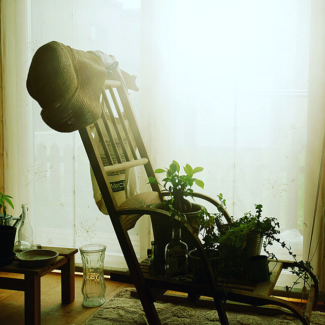 tomomi_nuの-【おしゃれな植木鉢】白モスポット植木鉢（径15cm/高さ14cm)の家具・インテリア写真