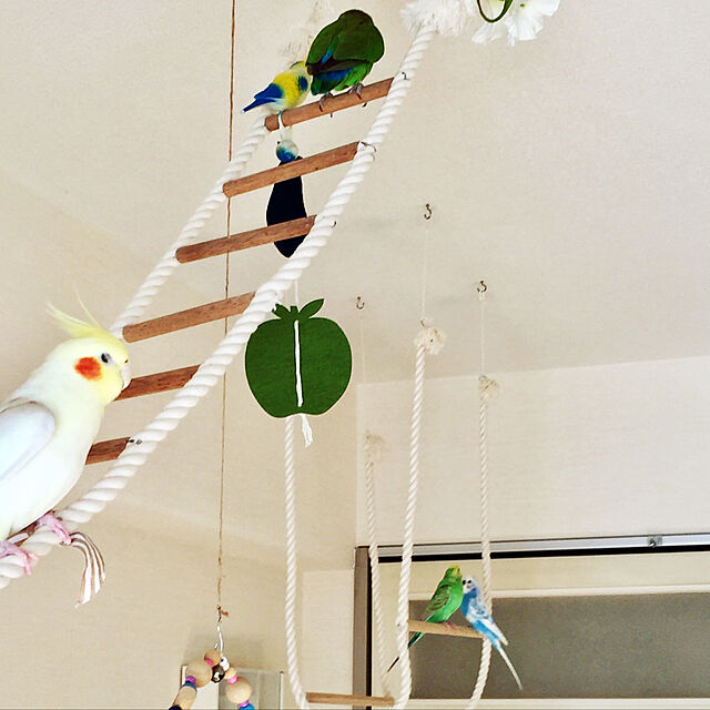 toratanの-みずよし貿易　ゆらゆらバード　鳥　おもちゃ　色おまかせの家具・インテリア写真