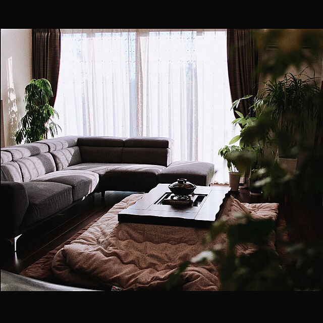 cocochiのイケヒコ・コーポレーション-こたつ布団　プレーン　【イケヒコ】の家具・インテリア写真