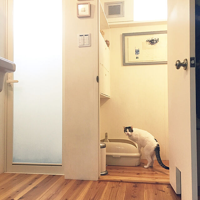 mohayaeteの花王-花王 ニャンとも清潔トイレセット ライトベージュ オープンタイプ [猫用トイレ本体]の家具・インテリア写真