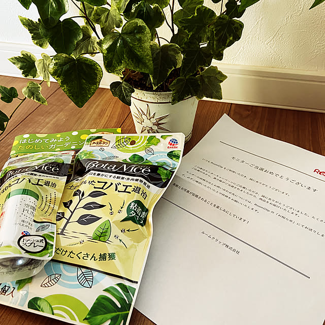 写真付きレビュー Botanice ボタナイス シリーズ ボタナイス 土からわいたコバエ退治 粘着タイプ 土にまくだけ虫退治 粉タイプ 飛びまわる コバエ退治 スプレータイプ 観葉植物 アース製薬の通販商品 口コミ情報 Roomclipショッピング