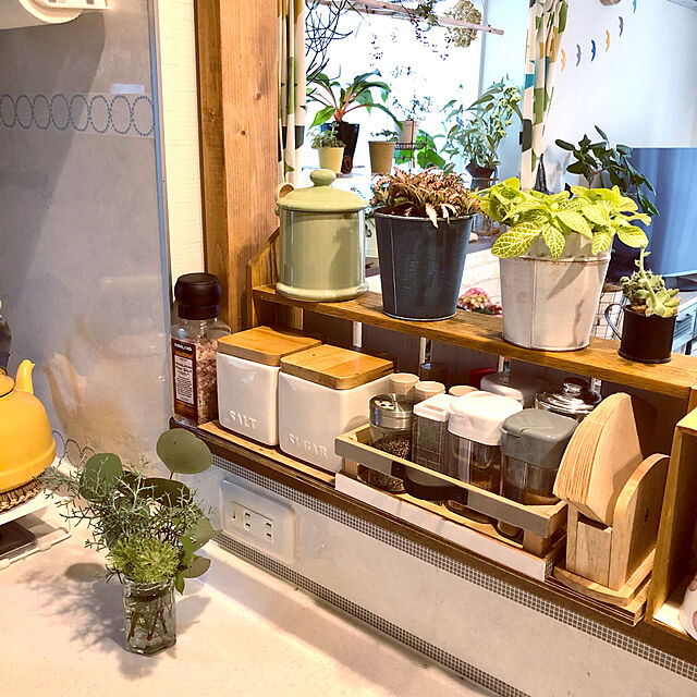 ayayayayaのZERO JAPAN-ZEROJAPAN キャニスターM 木製スプーン付 アーティチョーク CP-05M ARの家具・インテリア写真
