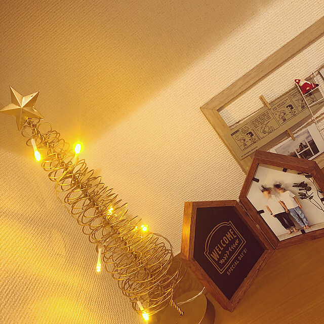 kanyaemonの-salut!(サリュ) ワイヤーツリーオブジェの家具・インテリア写真
