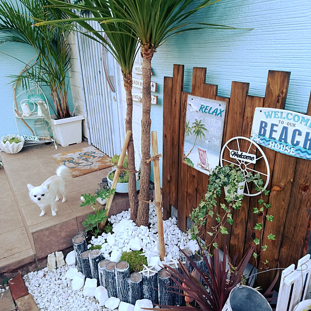 sachikoroの-ガーデン雑貨 エーゲ風 シャコ貝 シェルプランター L 幅33cm プランター 貝殻 花器 アンティーク フラワーベース ガーデニング ギリシャの家具・インテリア写真