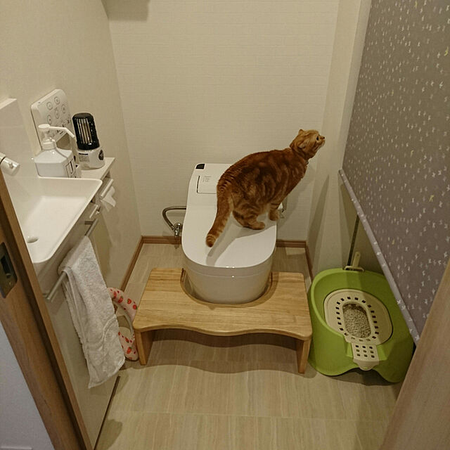 naoの-【110】 リッチェル　コロル　節約簡単ネコトイレ　ベージュ　スコップ付　猫トイレ　便座型の家具・インテリア写真