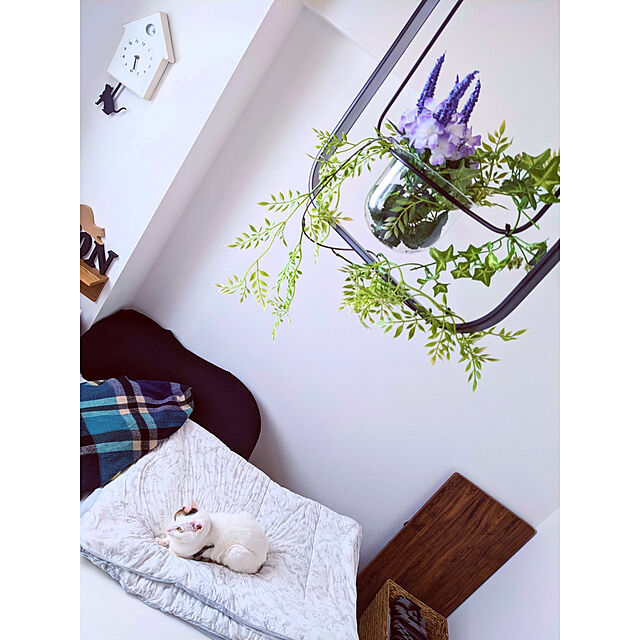 _pachiのニトリ-クイーンマットレス(Nスリープ Comfort コンフォート 分割) の家具・インテリア写真