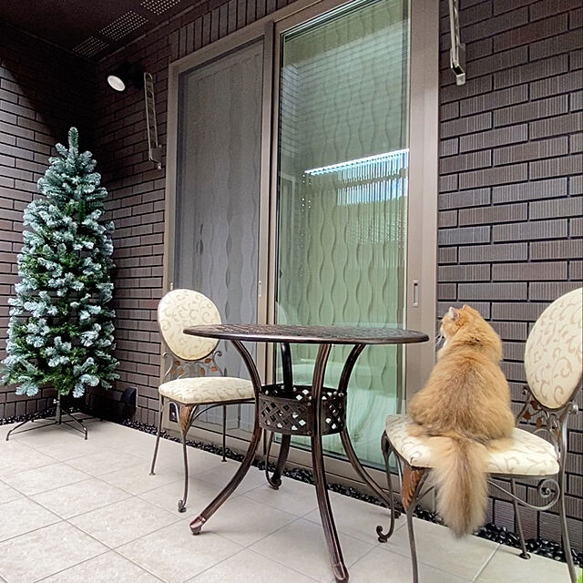 furitamaの-Alsace(R)公式 クリスマスツリー 180cm 豊富な枝数 2023ver. 樅 高級 ドイツトウヒ ツリー オーナメント なし アルザス ツリー Alsace おしゃれ ヌードツリー 北欧風 まるで本物 スリム 組み立て5分 散らからないの家具・インテリア写真
