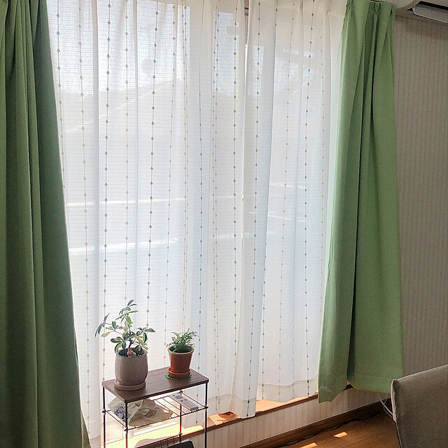 Aiのニトリ-遮熱・遮像レースカーテン(コーラル イエローグリーン 150X176X2) の家具・インテリア写真