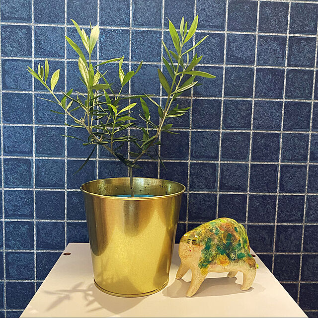 uninekoのイケア-[IKEA/イケア/通販]DAIDAI ダイダイ 鉢カバー, 黄銅色[A](a)(50359402)の家具・インテリア写真
