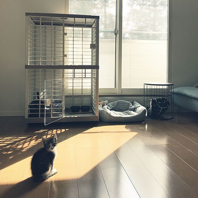 Yuharu.のイケア-【IKEA -イケア-】OSTBIT -オストビット- キッチン トレイ 竹 20x28 cm (303.767.23)の家具・インテリア写真