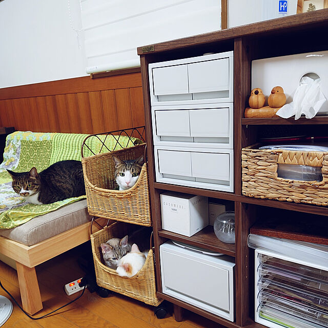 nachiの佐藤産業-POWRY（ポーリー） ラックシェルフ（幅60cm）の家具・インテリア写真