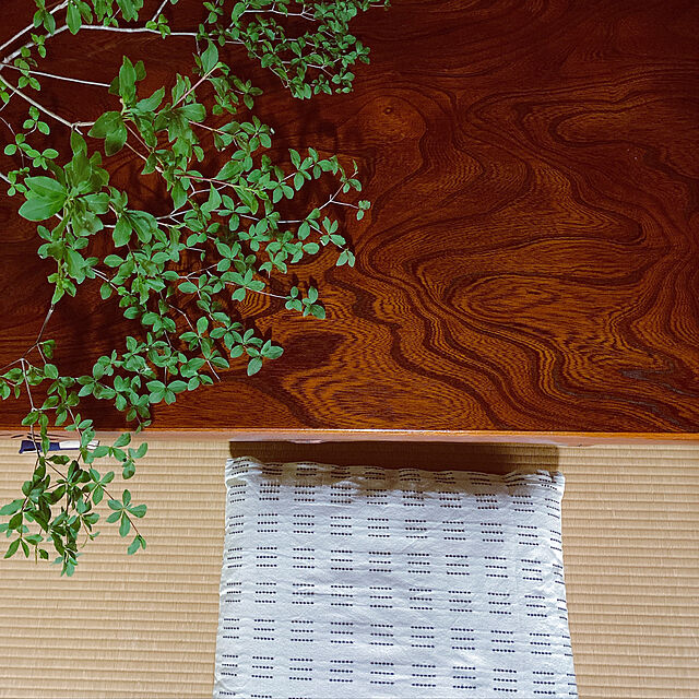 tokimaのニトリ-フロアクッションカバー・座布団カバー(サシコ キナリ) の家具・インテリア写真