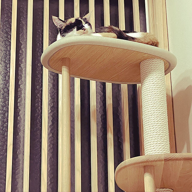 KARIMOKU CAT TREE カリモク家具 日本製 キャットタワー 撥水加工生地 綿縄爪とぎ 木製 高さ124cm 据え置き (ブルー
